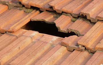 roof repair Rewe, Devon
